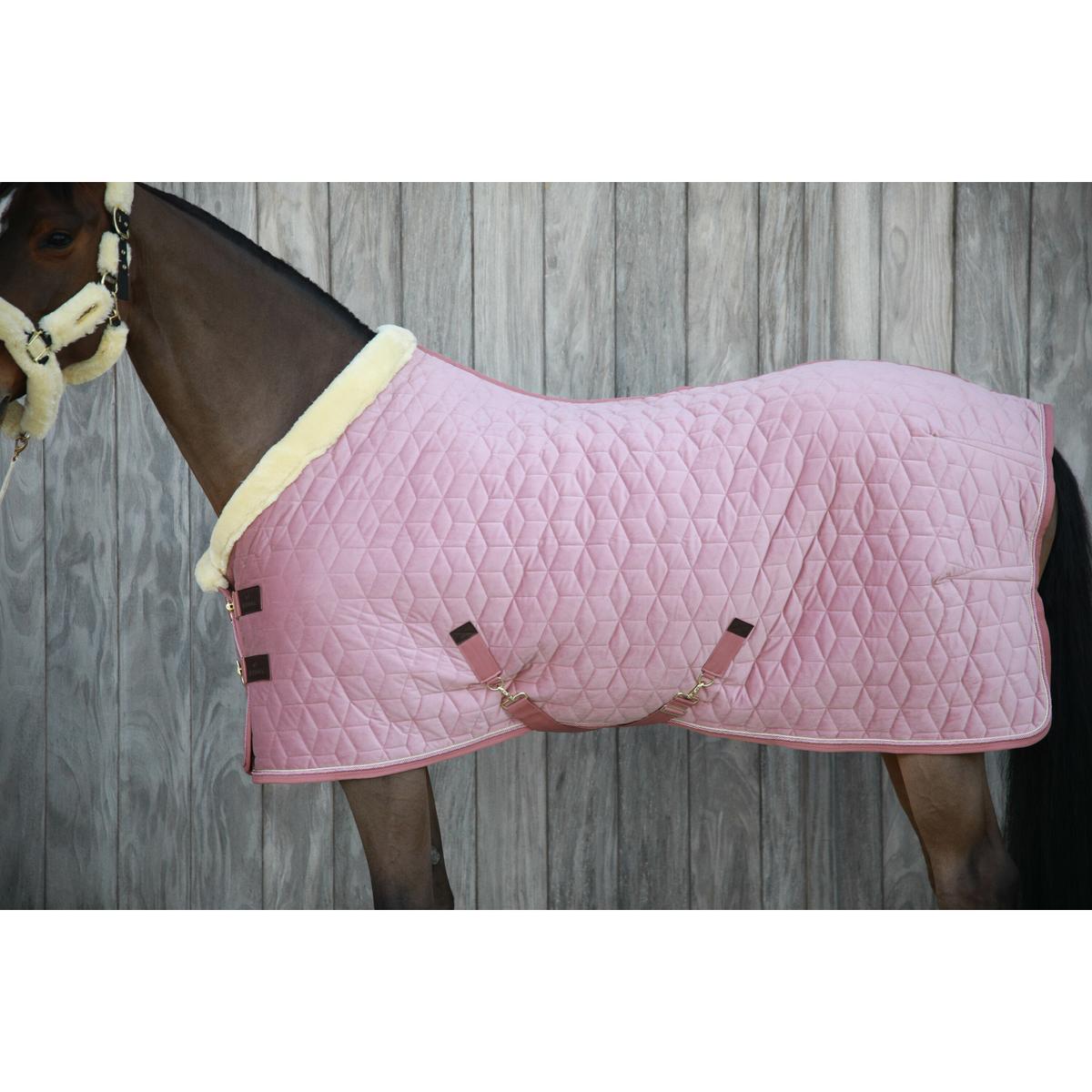 product/k/e/kentucky_52171-10_3.jpg