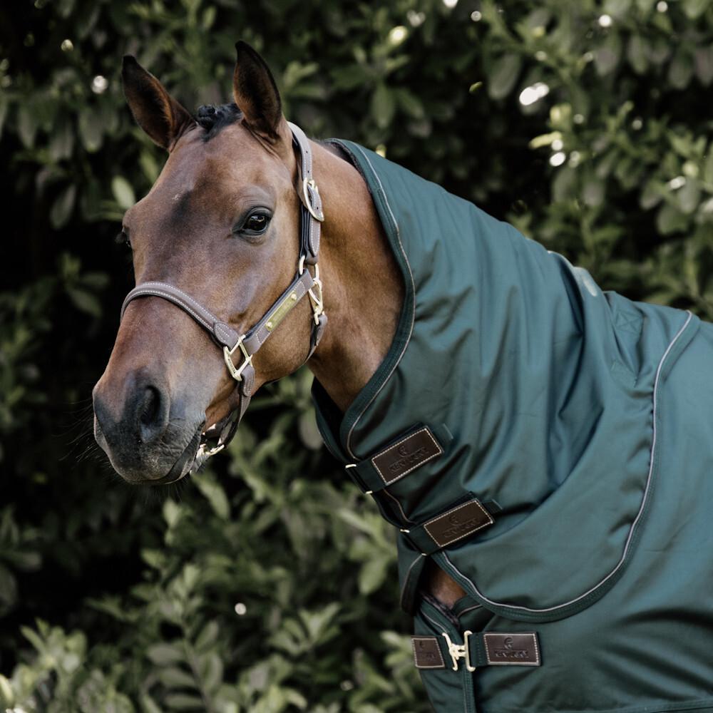 product/k/e/kentucky_52201-73-l_dark-green_2.jpg