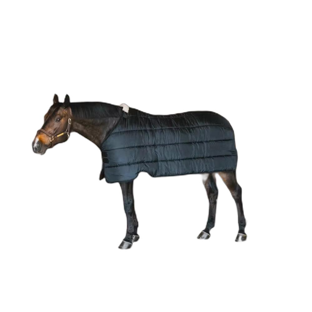 product/k/e/kentucky_52222-03-125_navy_1.jpg