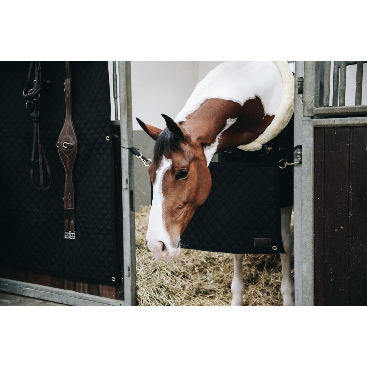 product/k/e/kentucky_82102-01_2.jpg