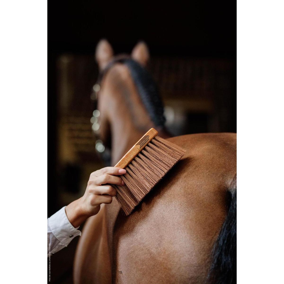 product/k/e/kentucky_82137-05_9.jpg