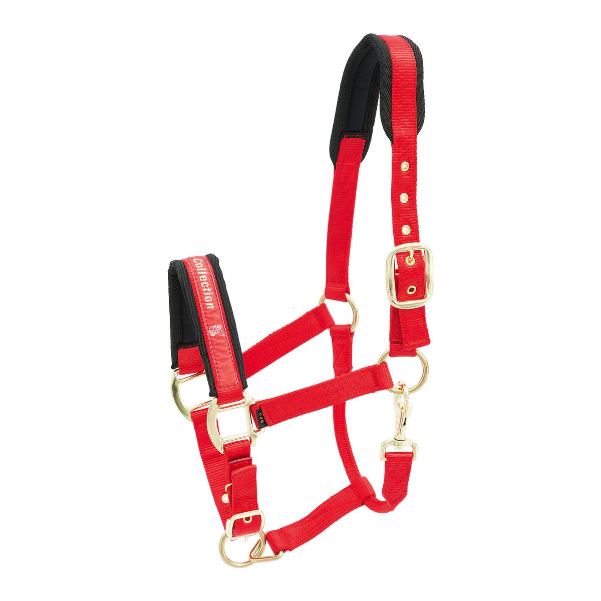 product/k/i/kieffer_553-15414.jpg