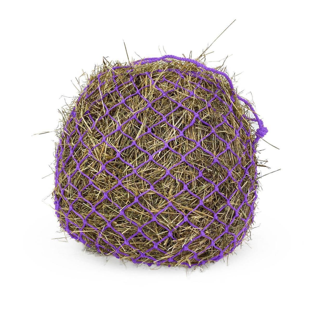 product/k/m/km-elite_dhnpp_purple_1.jpg