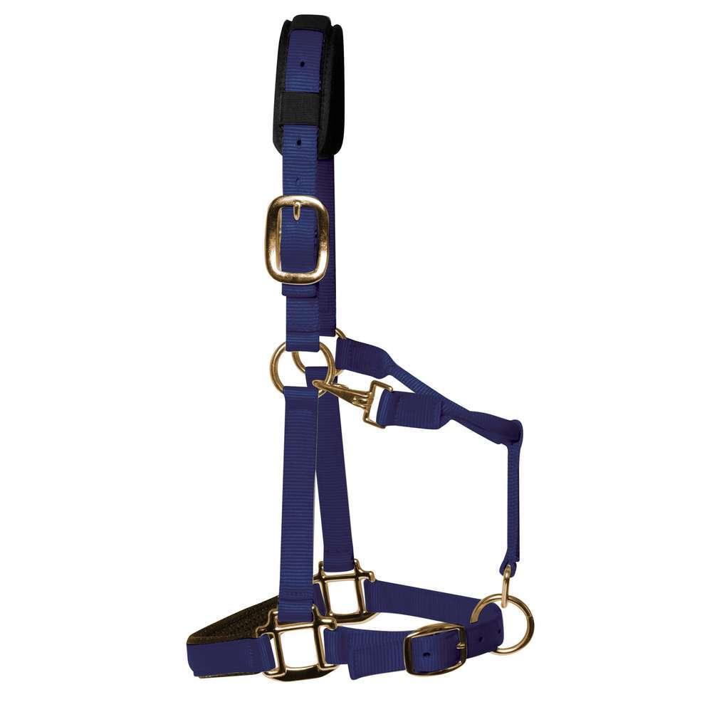 product/k/m/km-elite_hnbc_navy-blue_1.jpg