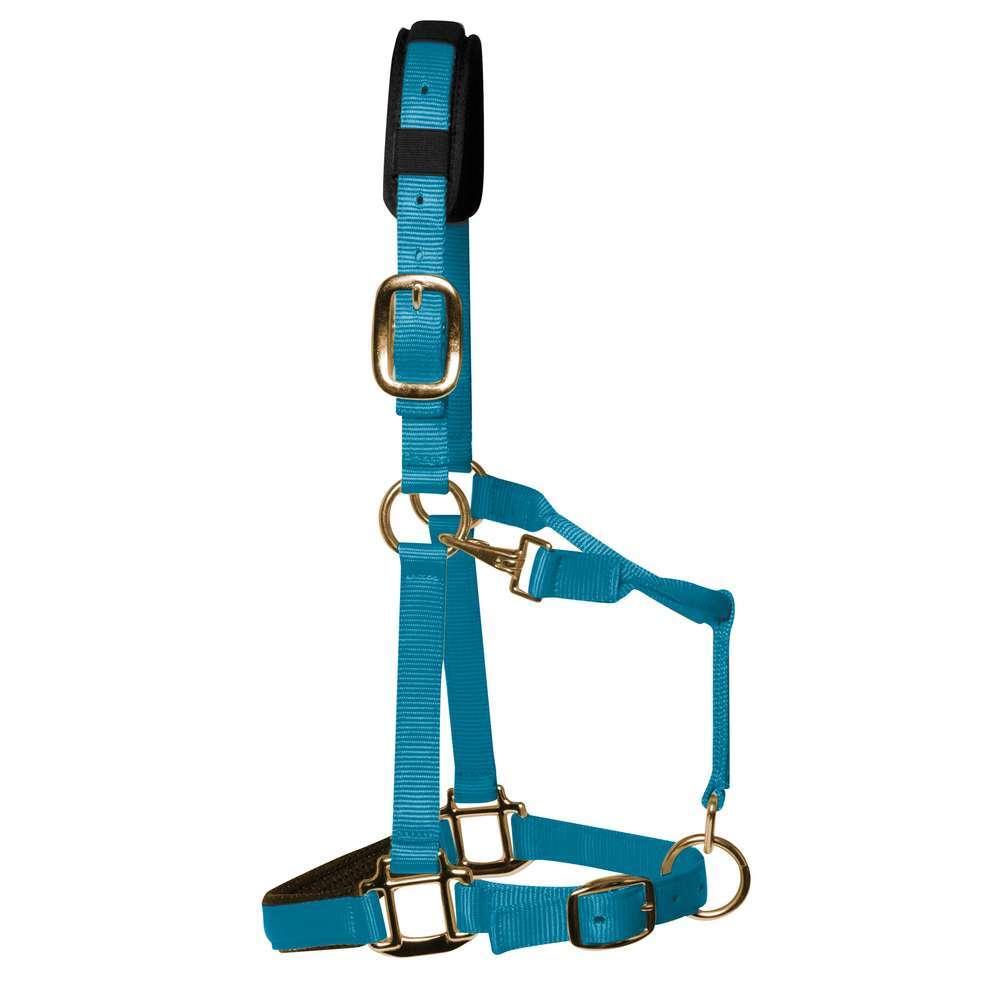 product/k/m/km-elite_hpbc_pastel-blue_1.jpg