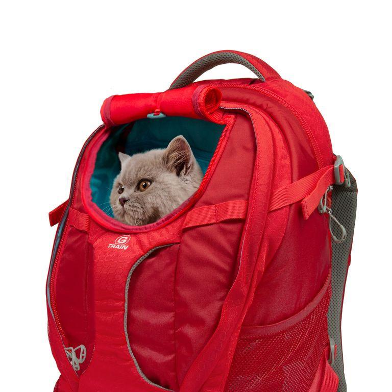 product/k/u/kurgo_cy0838_1.jpg