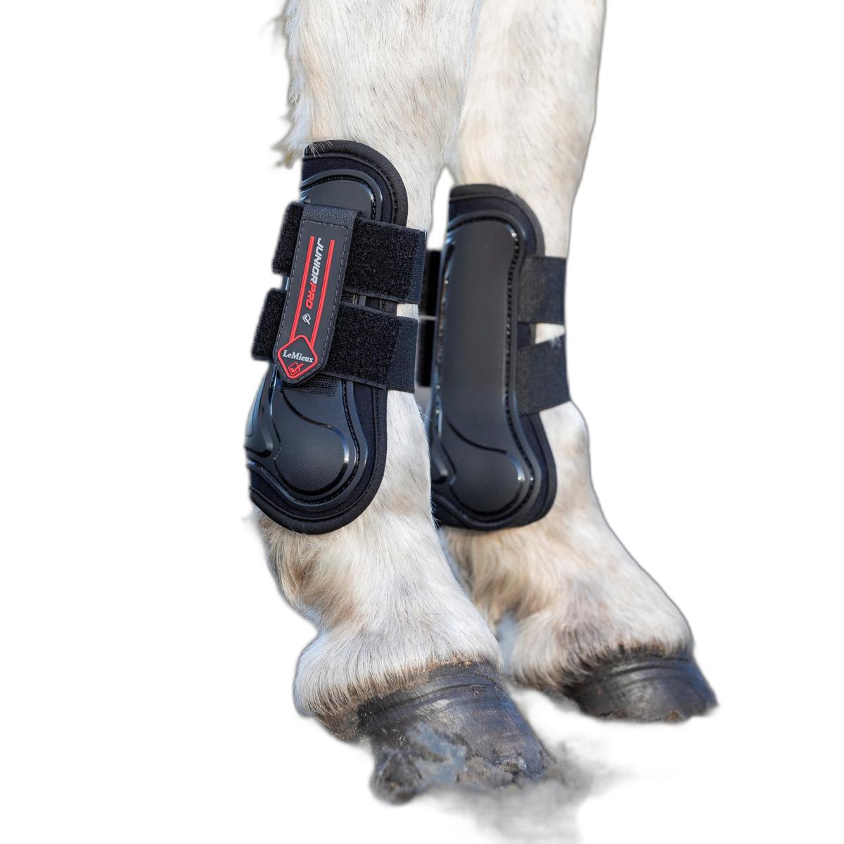 product/l/e/lemieux_it00694003_black_2.jpg