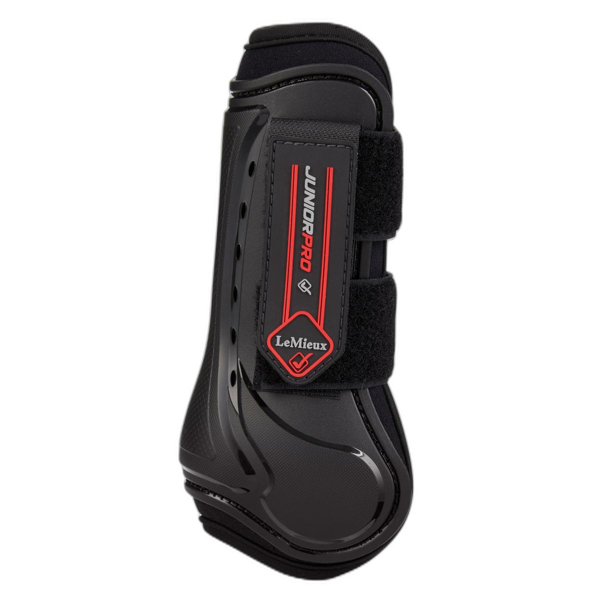 product/l/e/lemieux_it00694_3.jpg