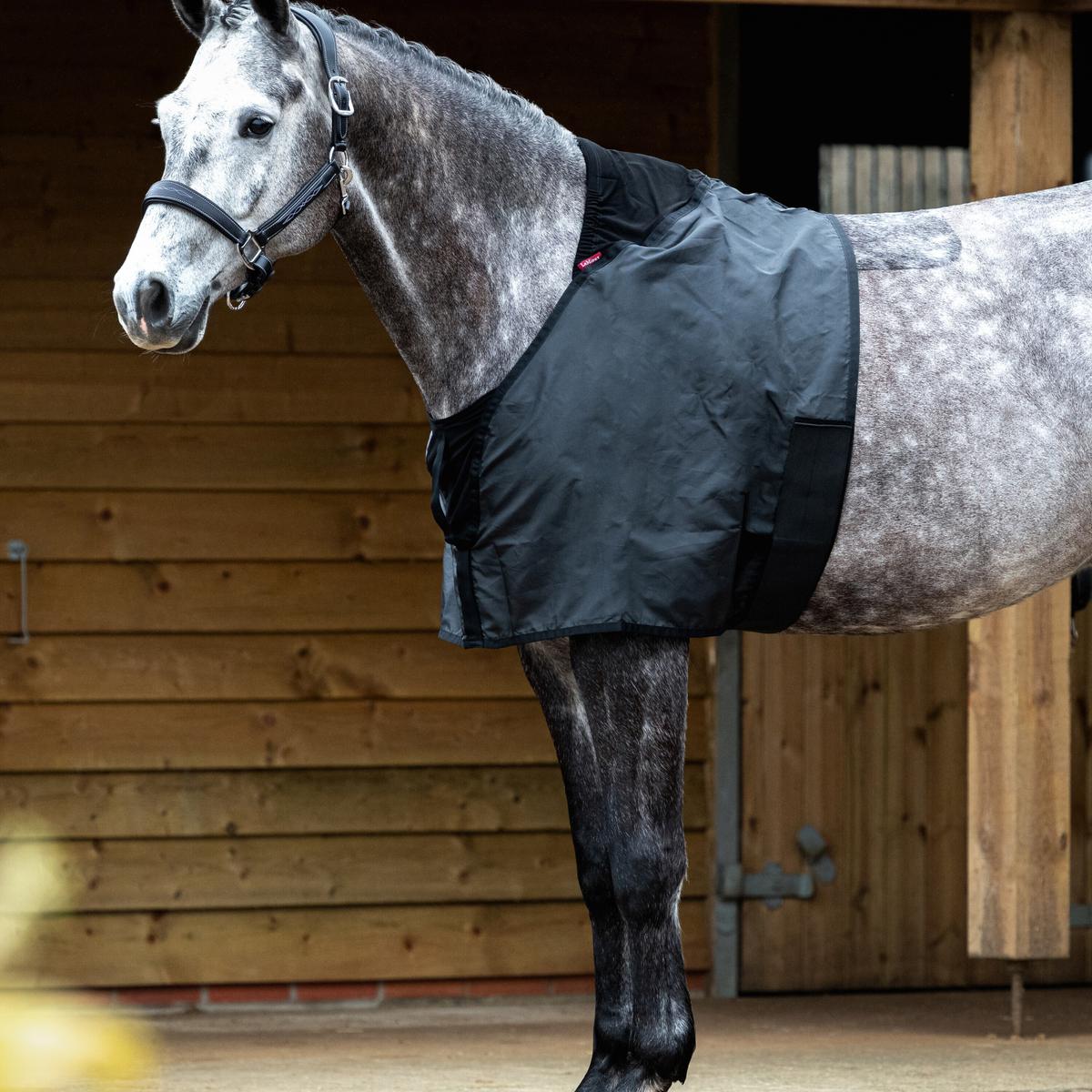 product/l/e/lemieux_it01046_black_1.jpg