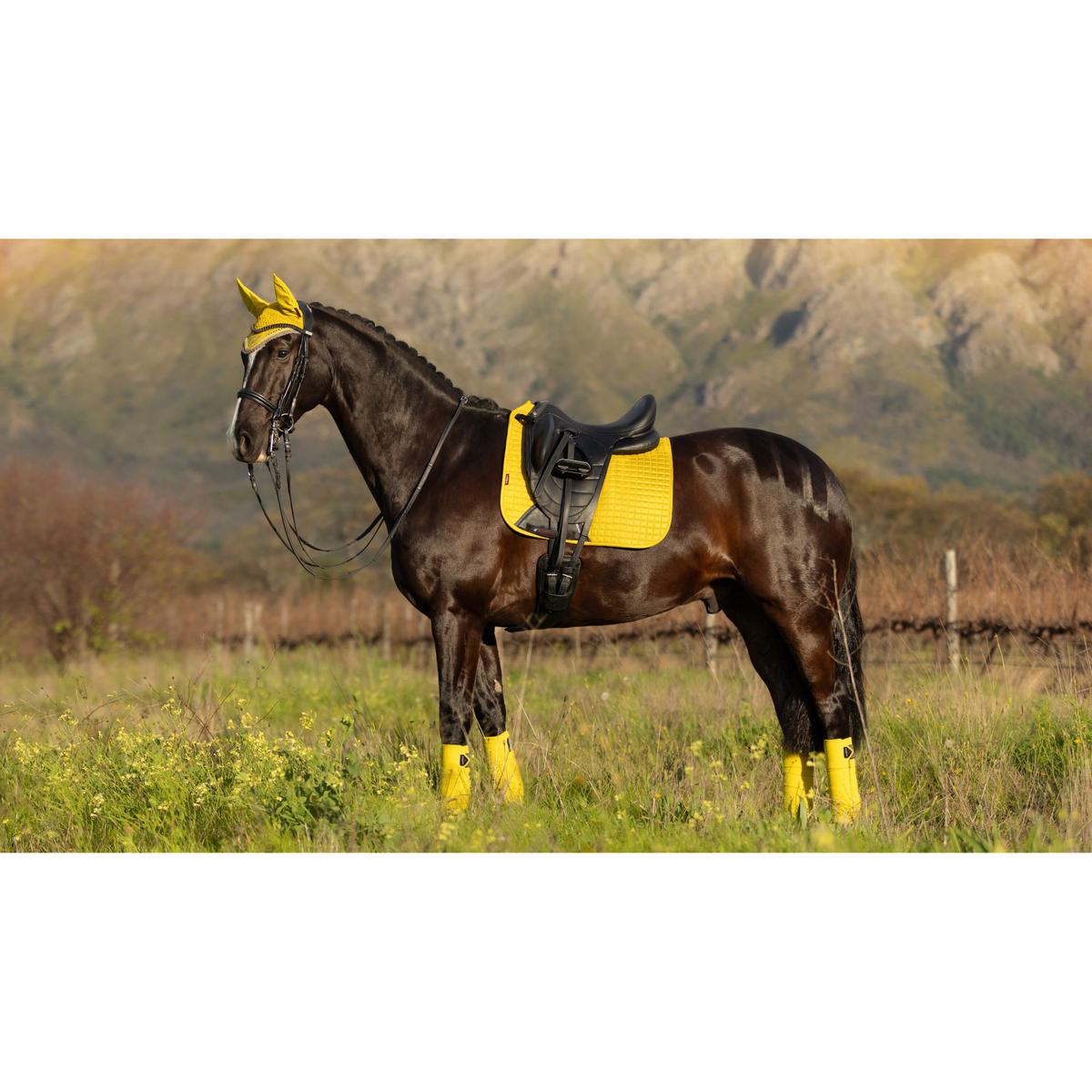 product/l/e/lemieux_it01284066_0_1.jpg