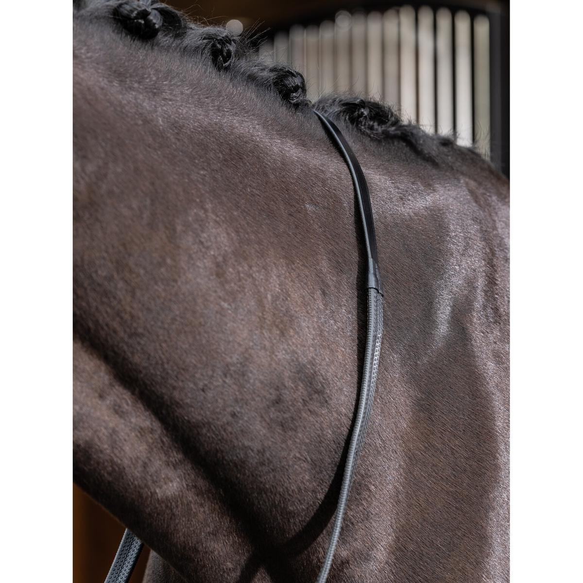product/l/e/lemieux_it02637_2.jpg