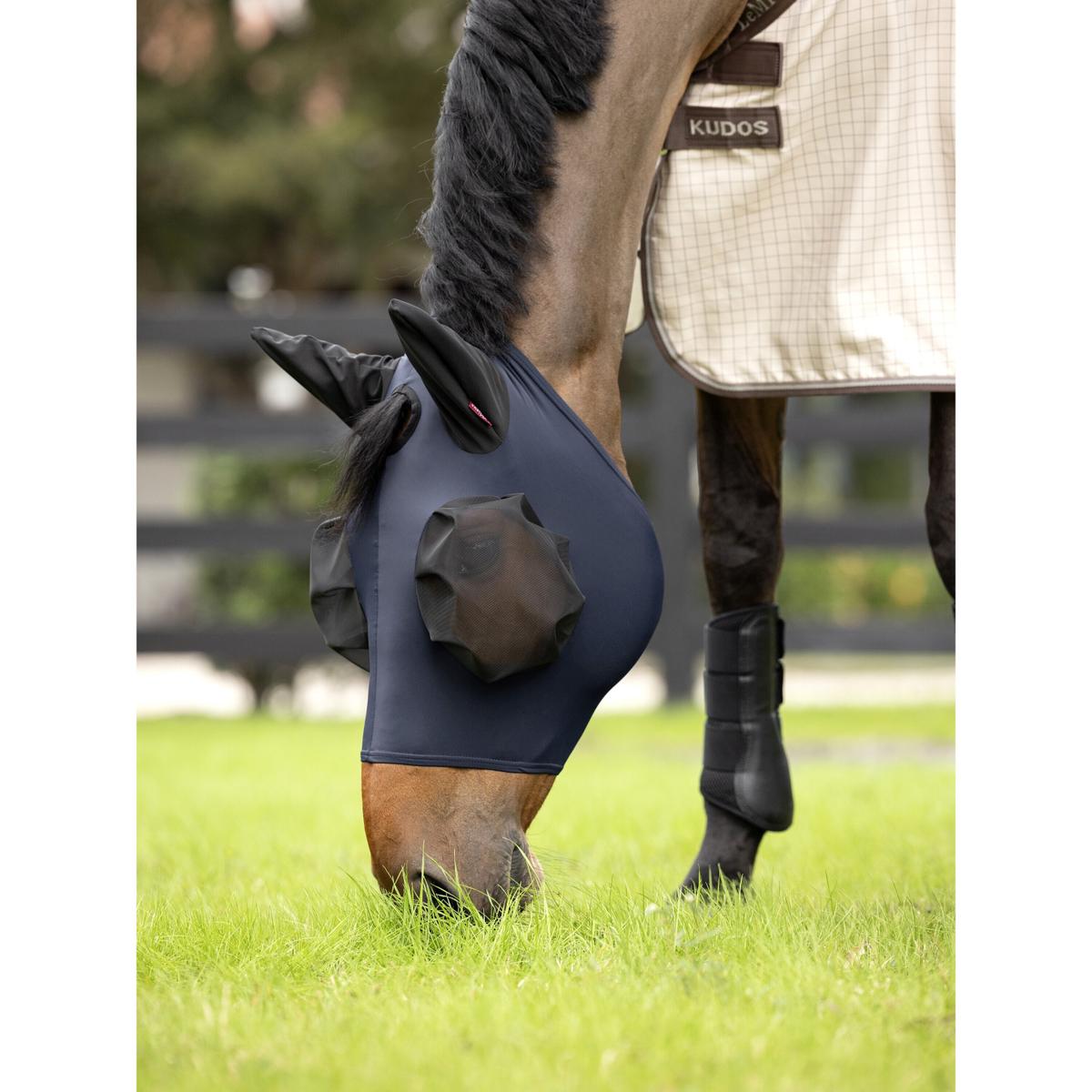 product/l/e/lemieux_it04141002_0.jpg