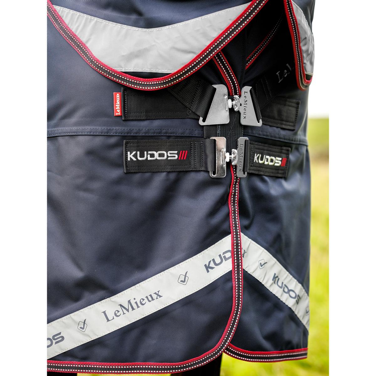 product/l/e/lemieux_it04513025_5.jpg