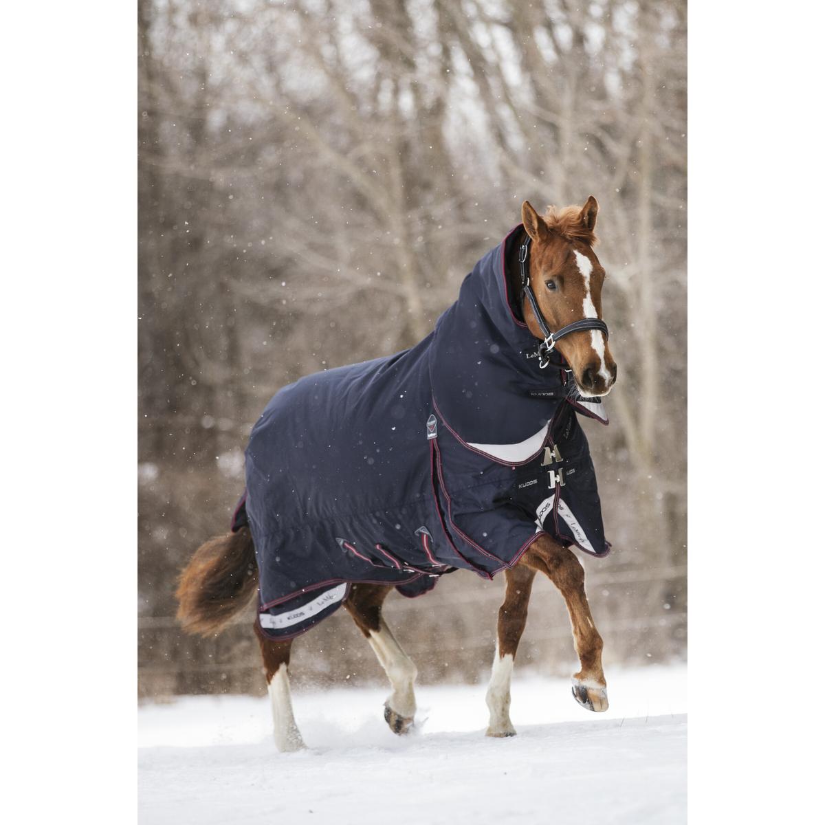 product/l/e/lemieux_it04586025_3.jpg