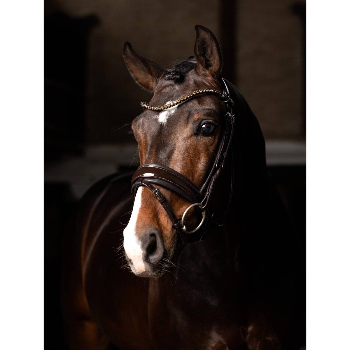 product/l/e/lemieux_it04763007_brown_4.jpg