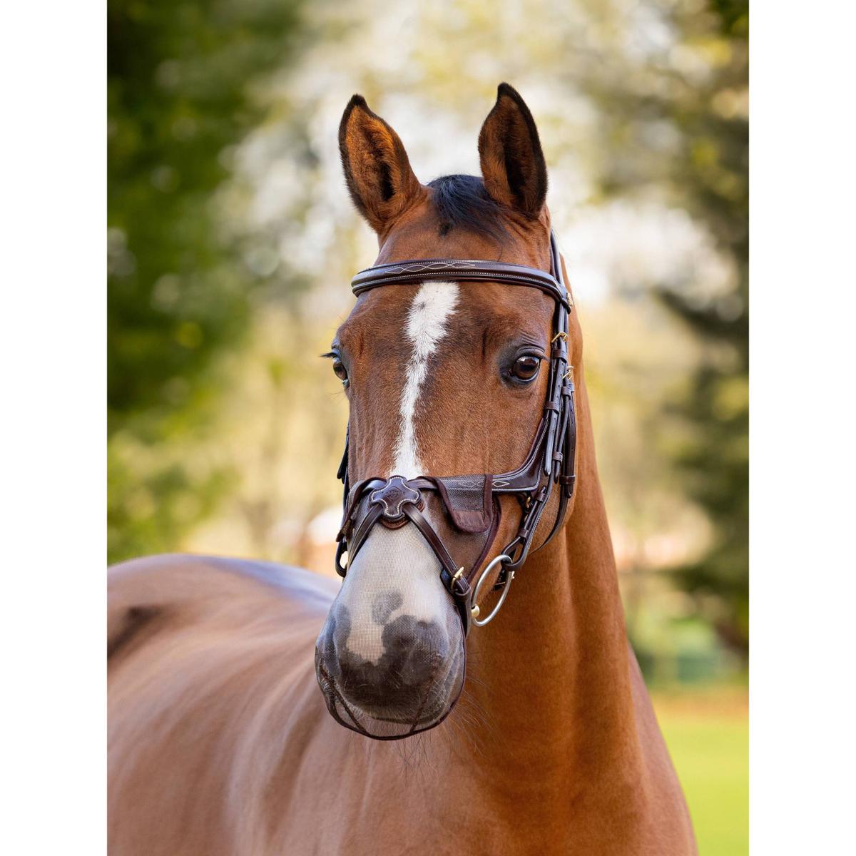 product/l/e/lemieux_it04790003_brown_2.jpg