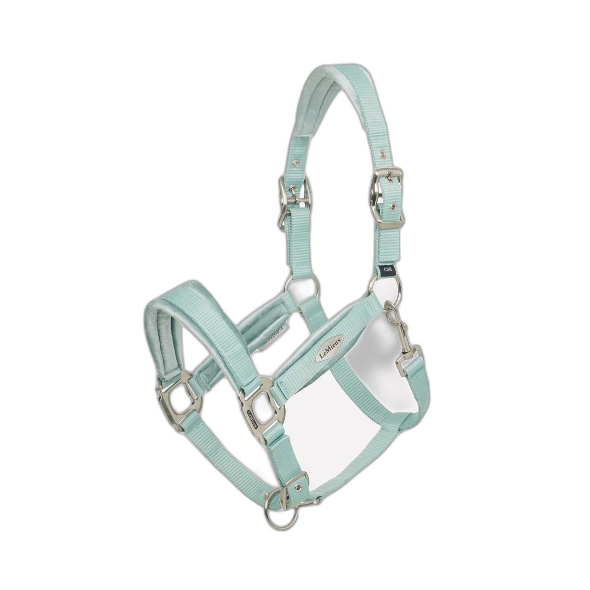 product/l/e/lemieux_it06738055_aqua_2.jpg