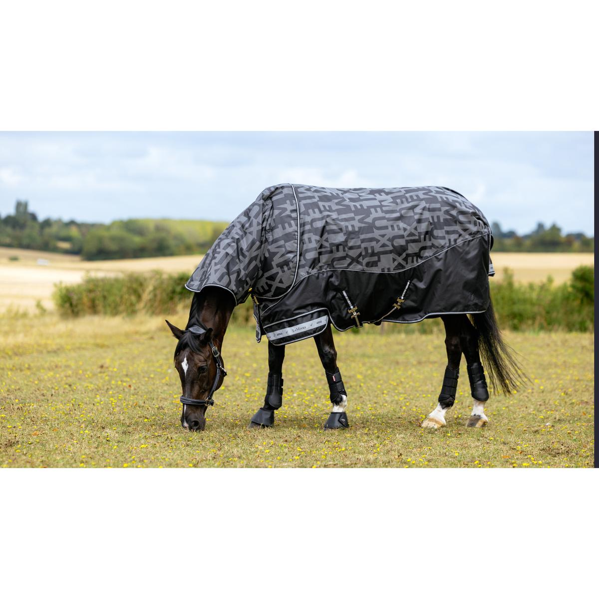 product/l/e/lemieux_it07059025_noir_4.jpg