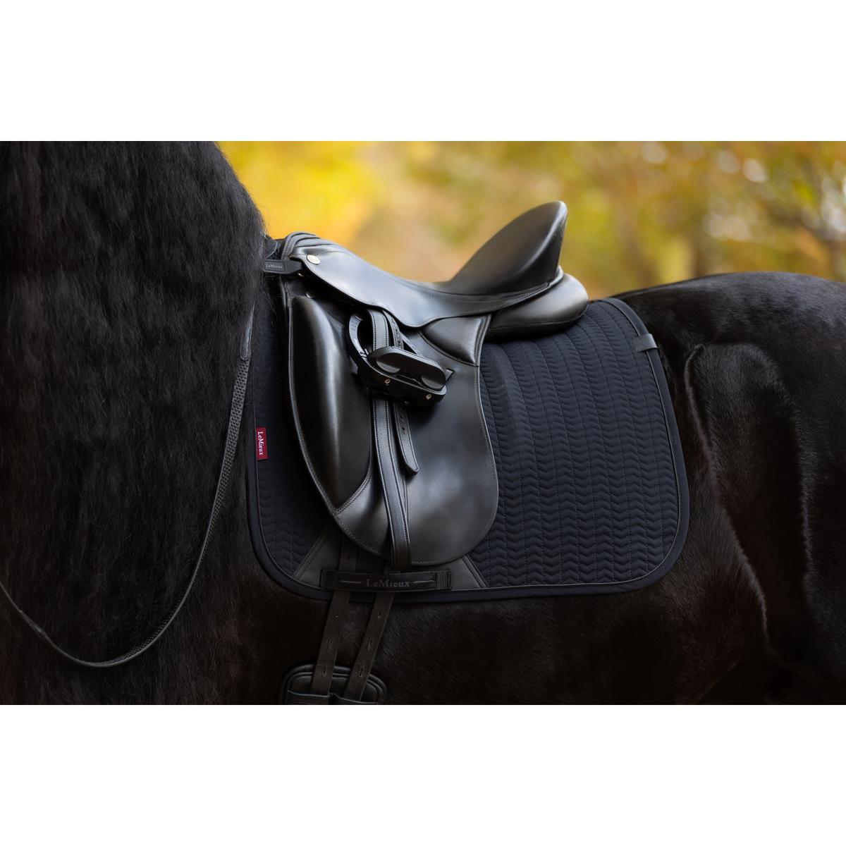 product/l/e/lemieux_it07762_011.jpg