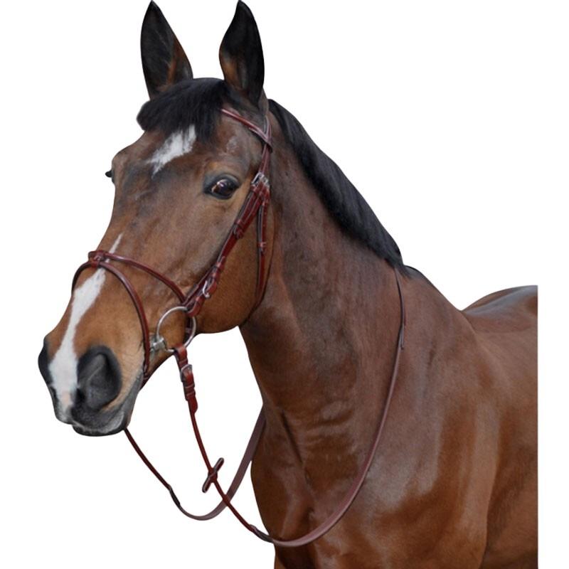 product/l/e/lexington_121130-camel_camel_1.jpg