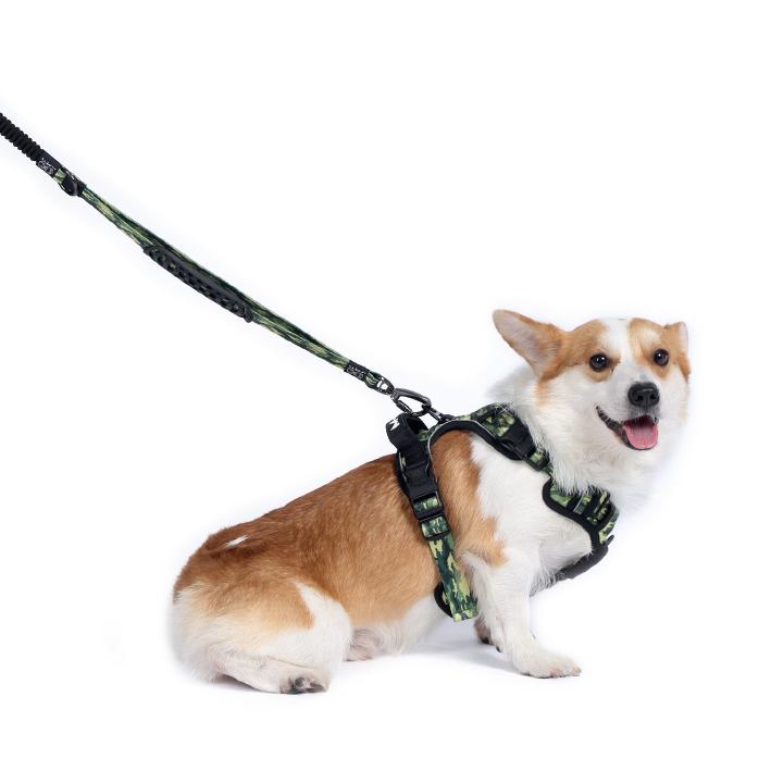 product/m/-/m-pets_10829099_2.jpg