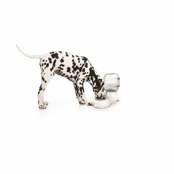 product/m/-/m-pets_60562999_1.jpg