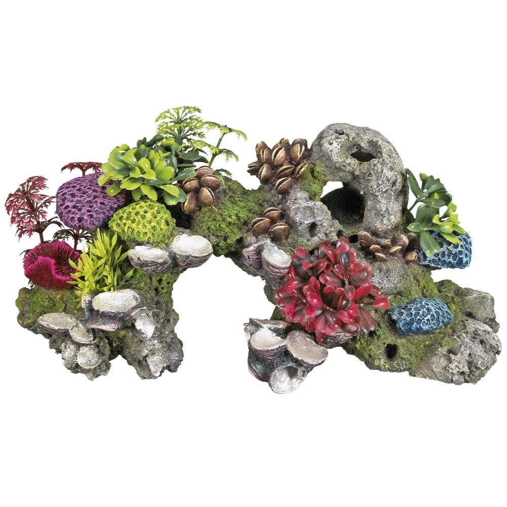 product/n/o/nobby-pet_28569.jpg