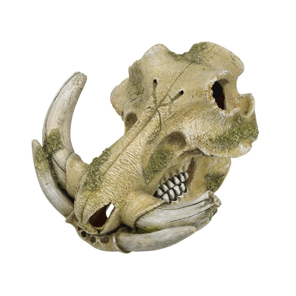 product/n/o/nobby-pet_28669.jpg