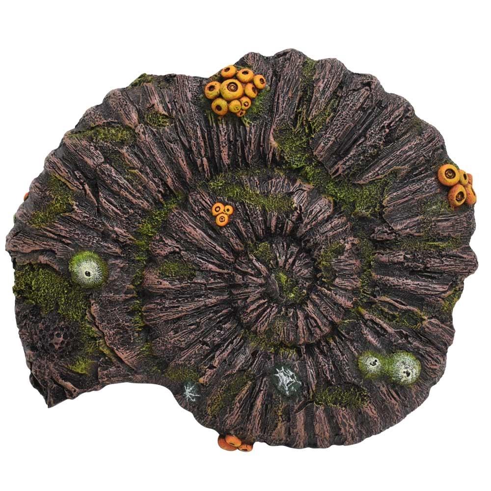 product/n/o/nobby-pet_28724_gris-vert_1.jpg