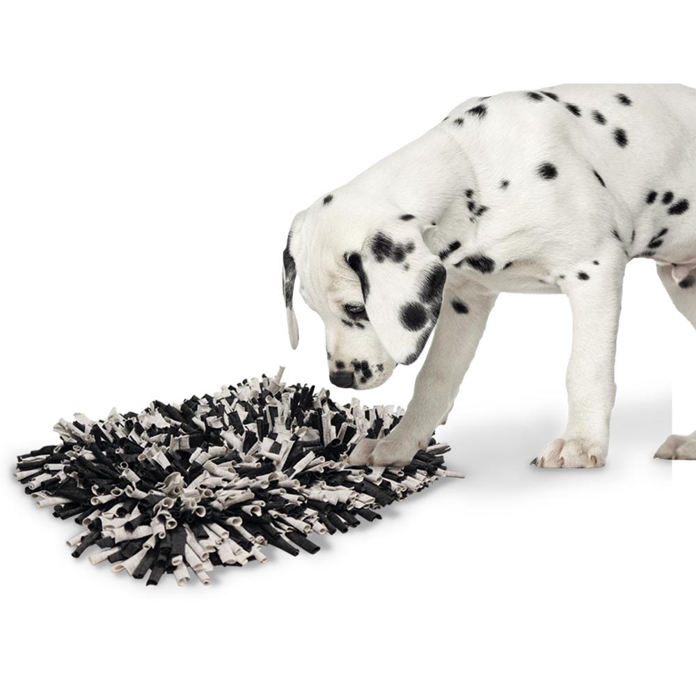 product/n/o/nobby-pet_61675_3.jpg