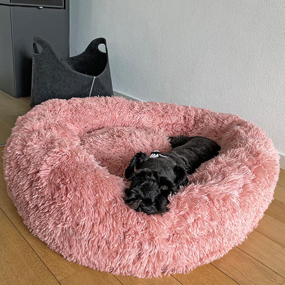 product/n/o/nobby-pet_61819_1.jpg