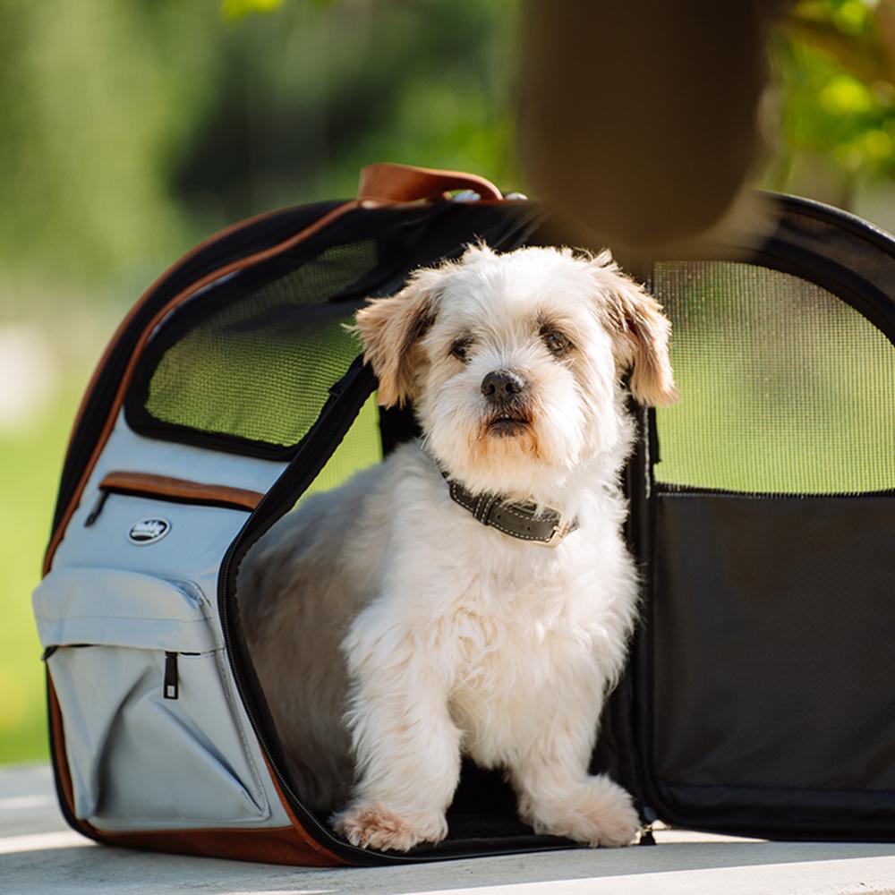 product/n/o/nobby-pet_63989_6.jpg