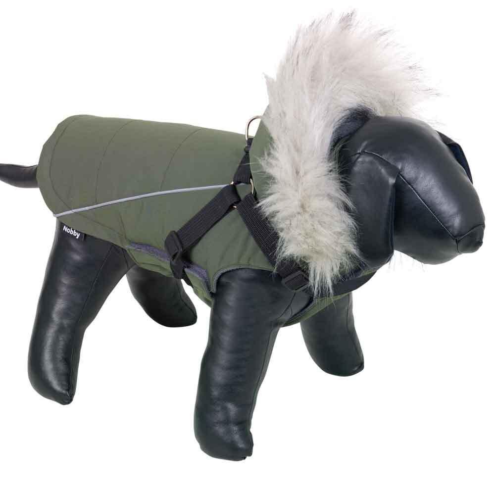 product/n/o/nobby-pet_64929.jpg