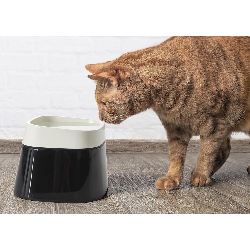 product/n/o/nobby-pet_72329_1.jpg