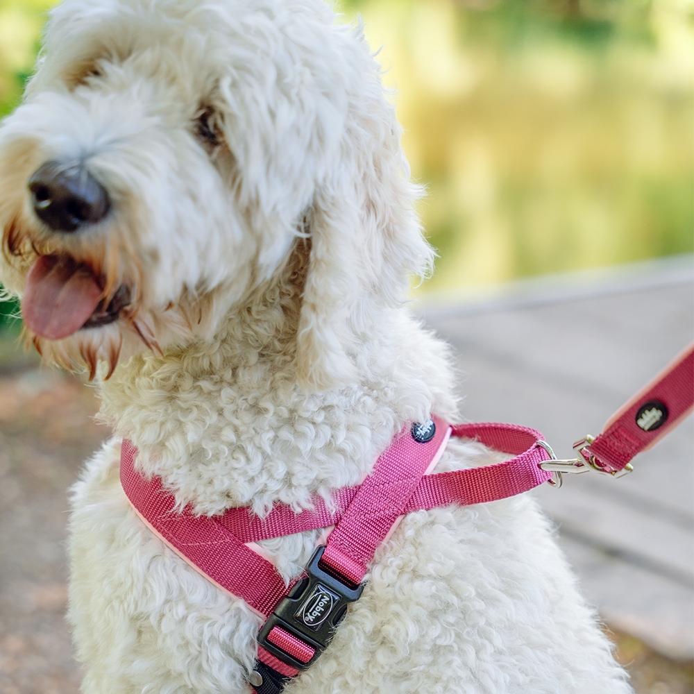 product/n/o/nobby-pet_80532-64_1.jpg