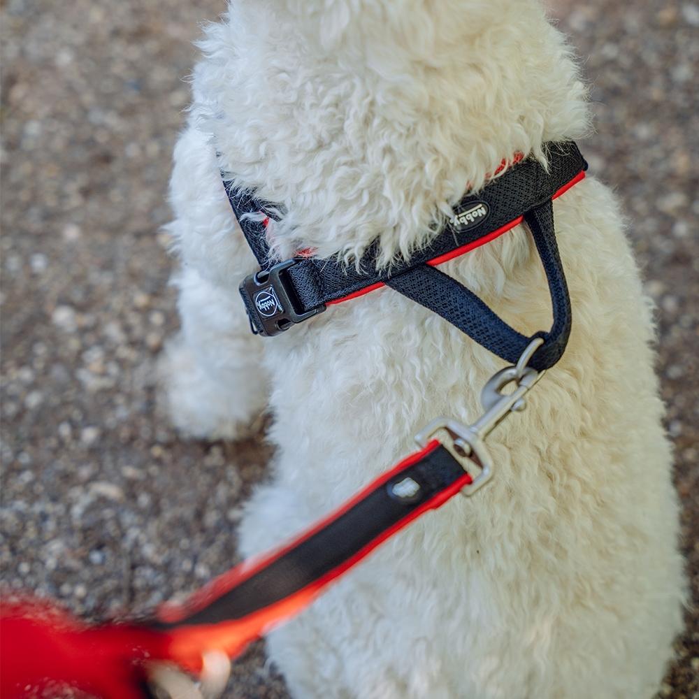 product/n/o/nobby-pet_80551-01_2.jpg