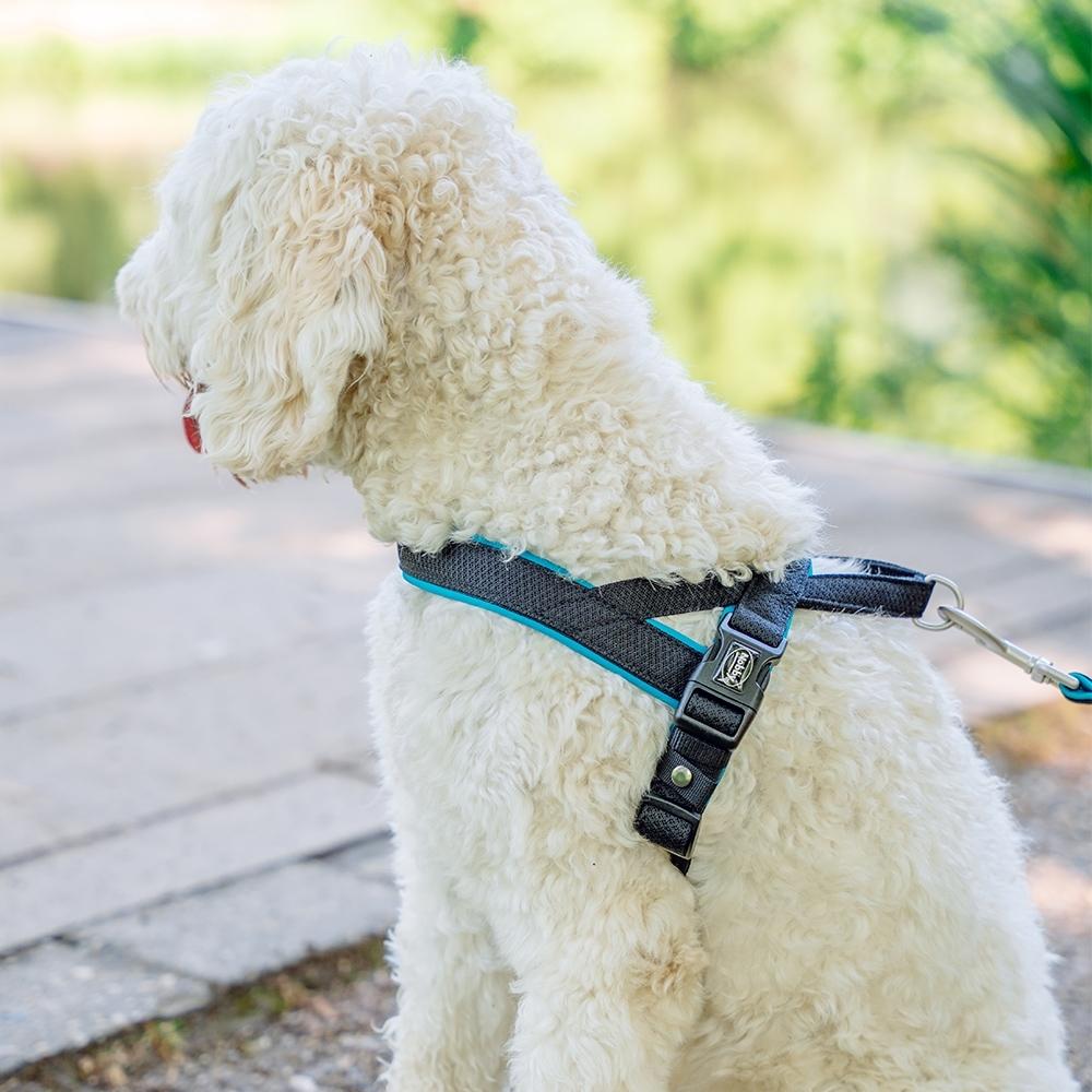 product/n/o/nobby-pet_80551-34_1.jpg
