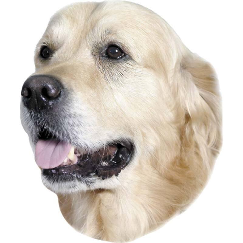 product/n/o/nobby-pet_93261.jpg