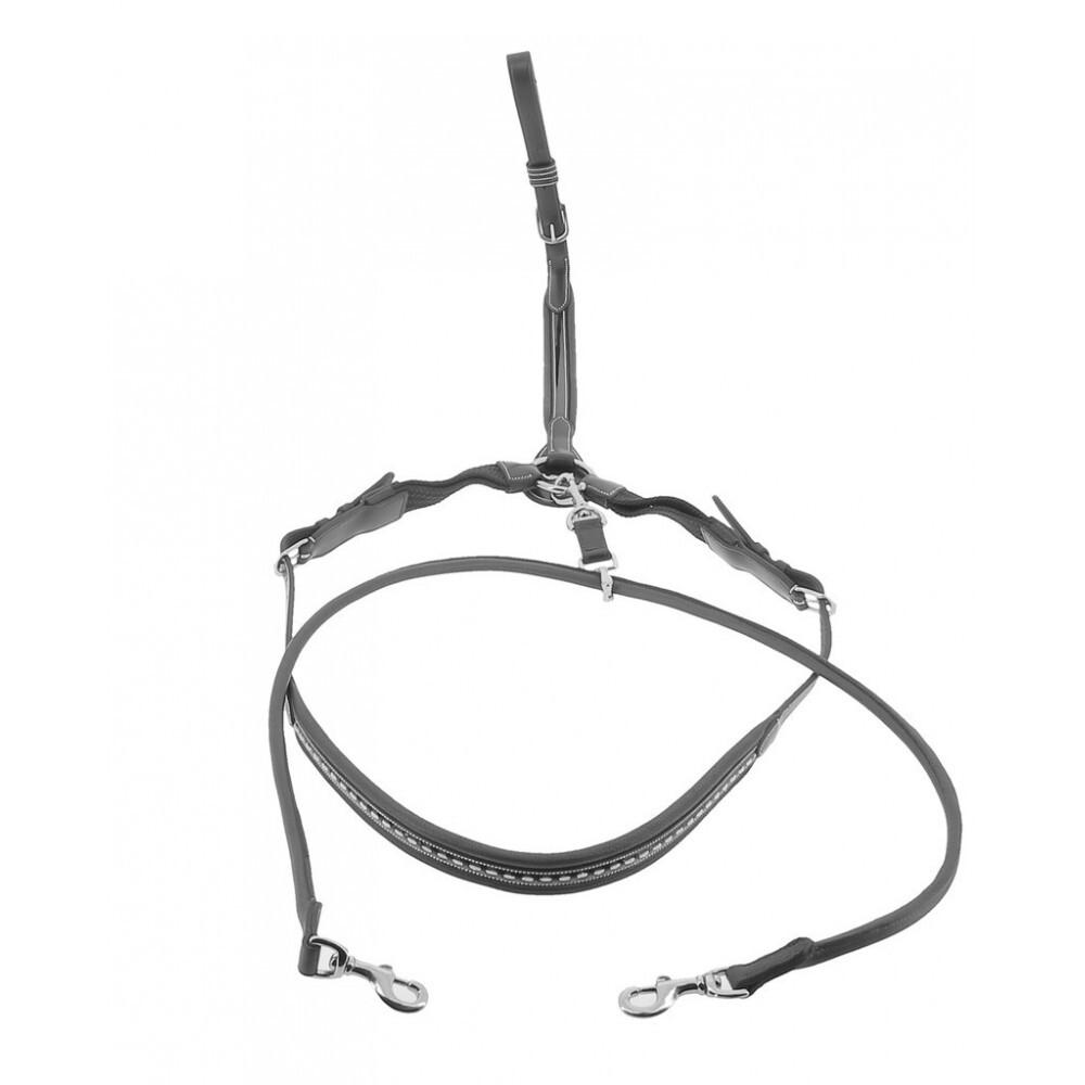 product/p/e/penelope_306101302_noir_1.jpg