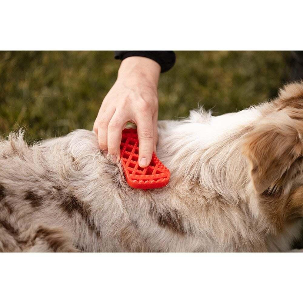 product/p/e/pet-me_805050100_rouge_5.jpg
