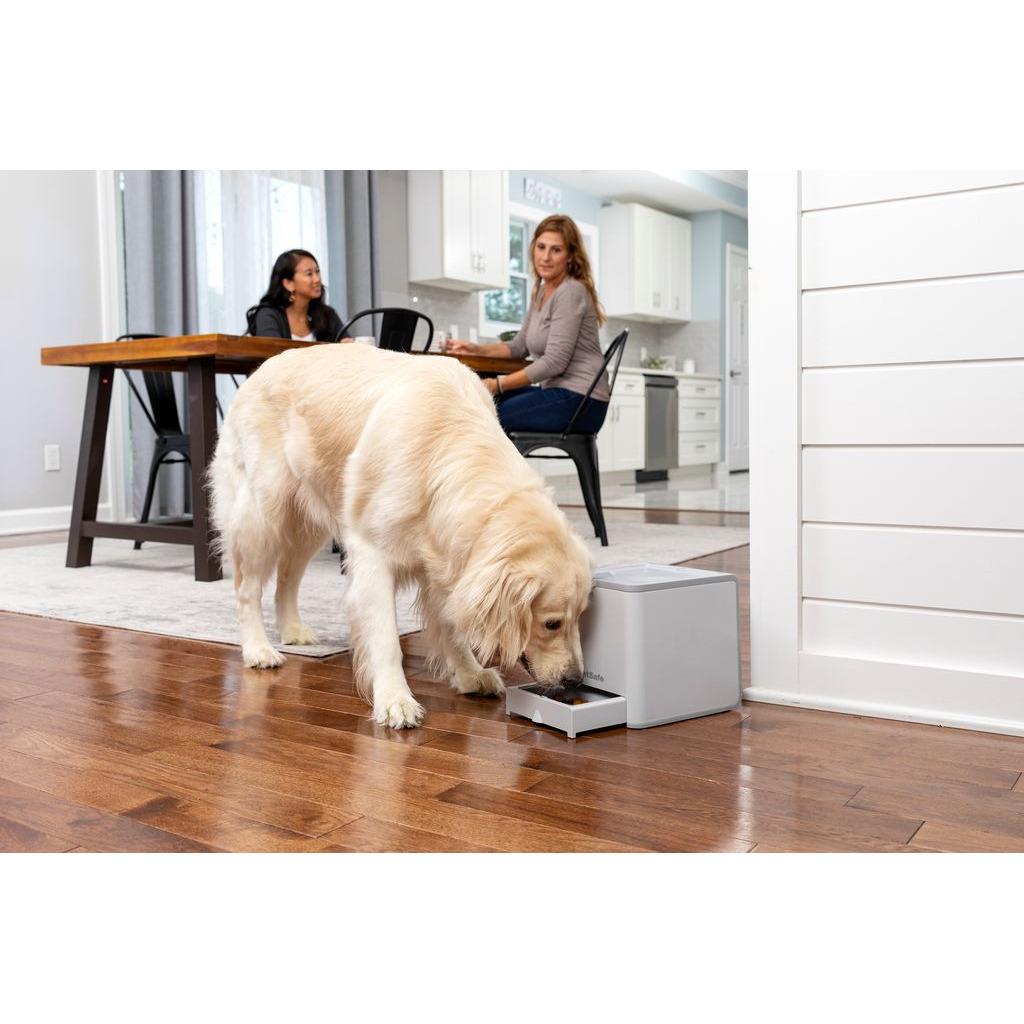product/p/e/petsafe_cy0514_1.jpg