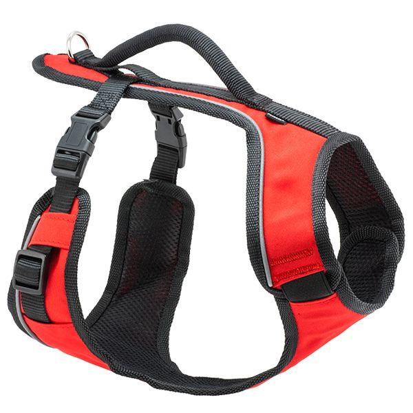 product/p/e/petsafe_cy0573_0.jpg