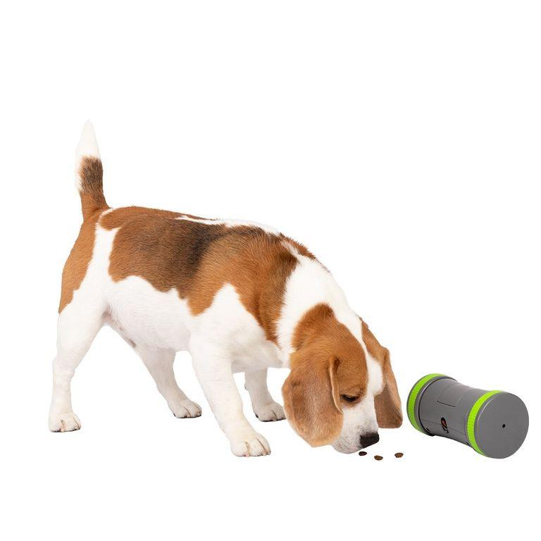 product/p/e/petsafe_cy0710_1.jpg