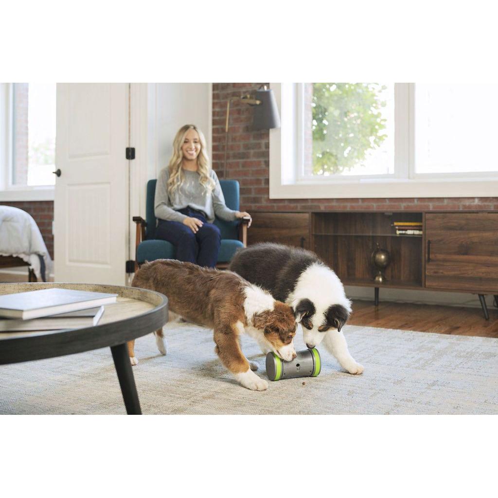 product/p/e/petsafe_cy0710_2.jpg