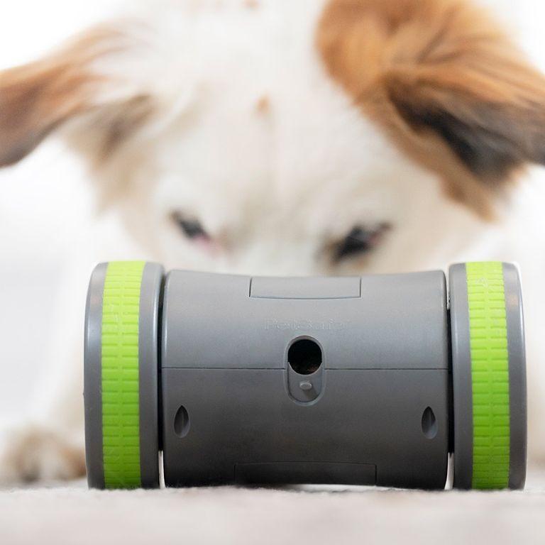 product/p/e/petsafe_cy0710_3.jpg