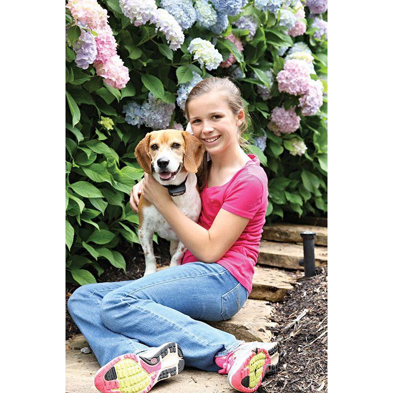 product/p/e/petsafe_cy0917_2.jpg