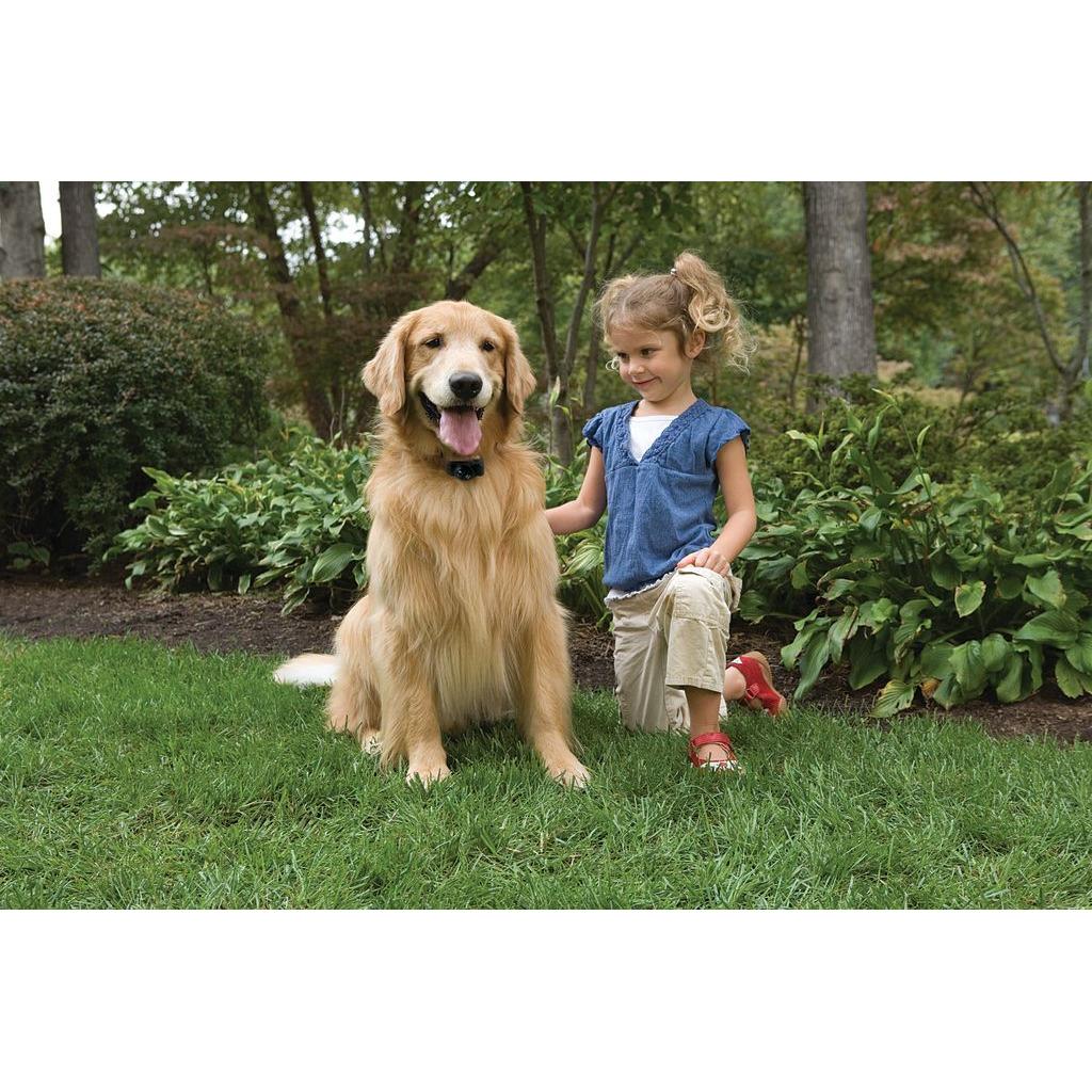 product/p/e/petsafe_cy0978_2.jpg