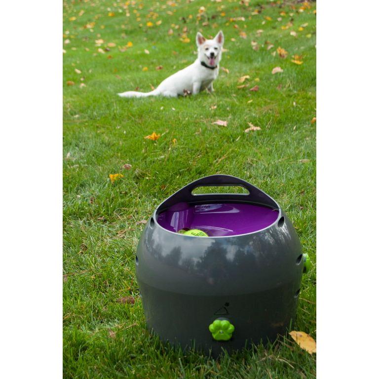 product/p/e/petsafe_cy1074_3.jpg