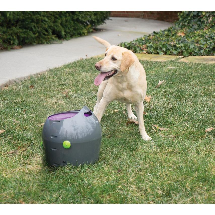 product/p/e/petsafe_cy1074_4.jpg