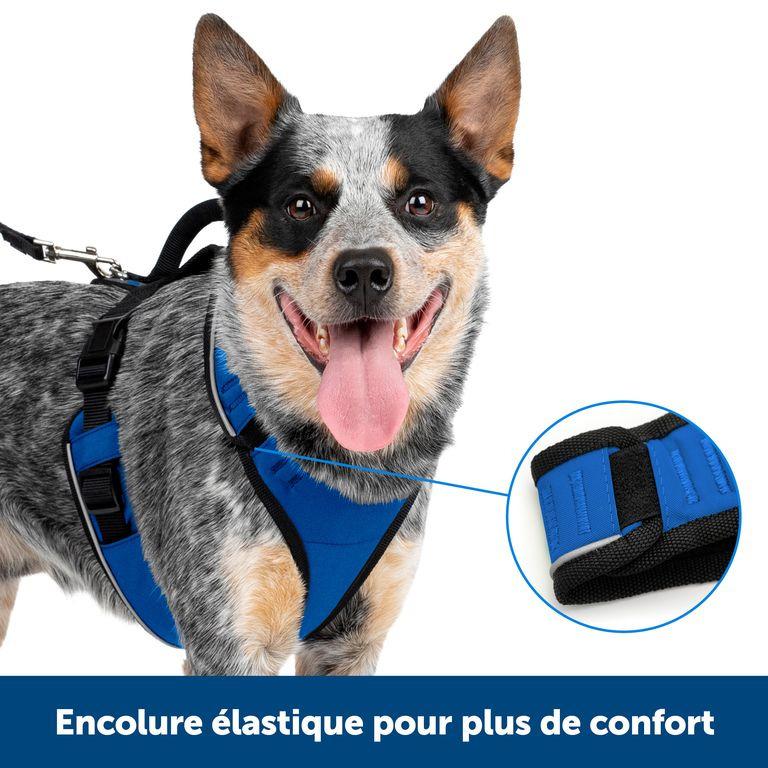 product/p/e/petsafe_cy1165_blue_2.jpg